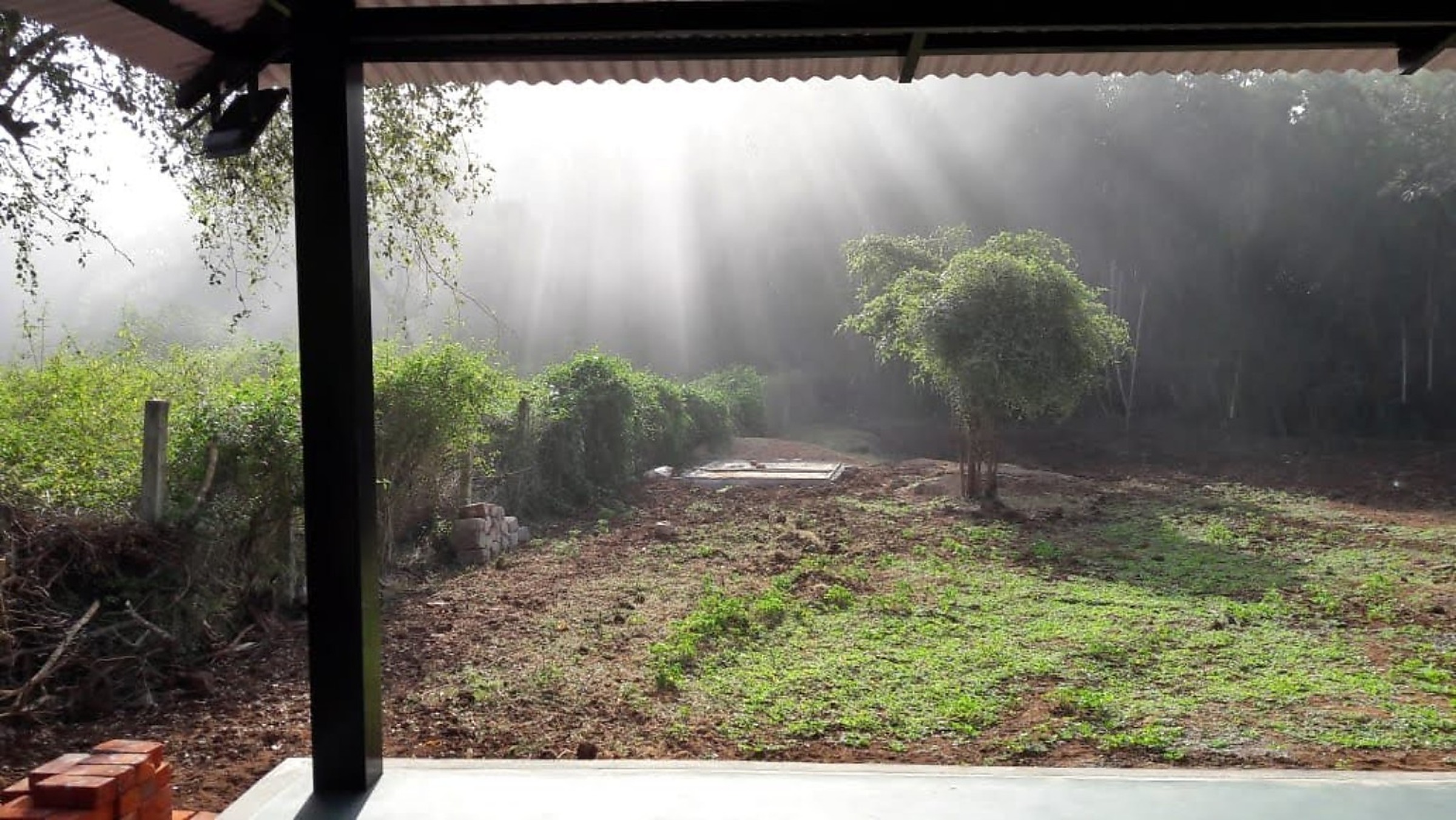 Misty forest landscape from the Runnel View verandah