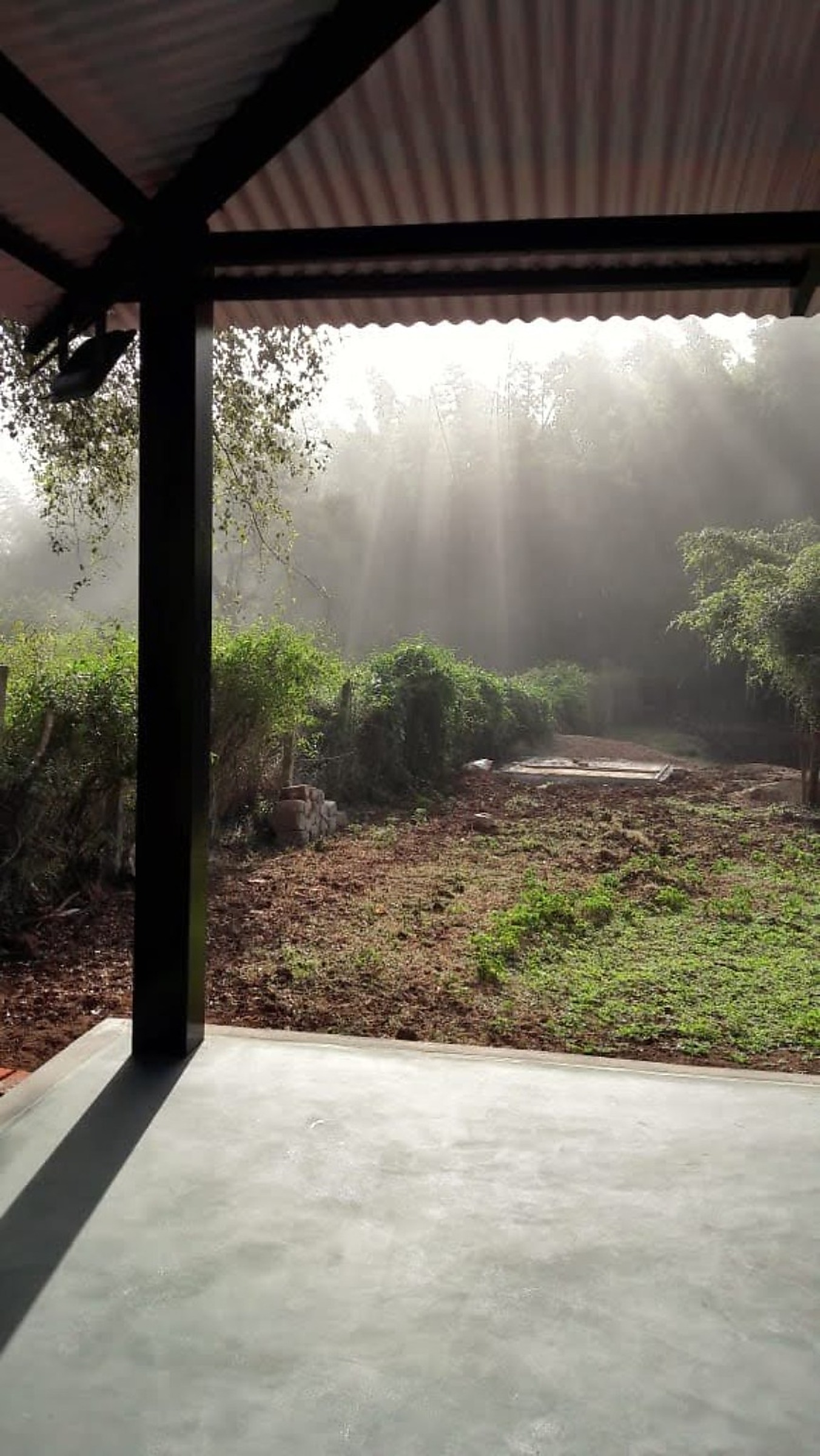 Morning mist and sunlight viewed from Runnel View verandah